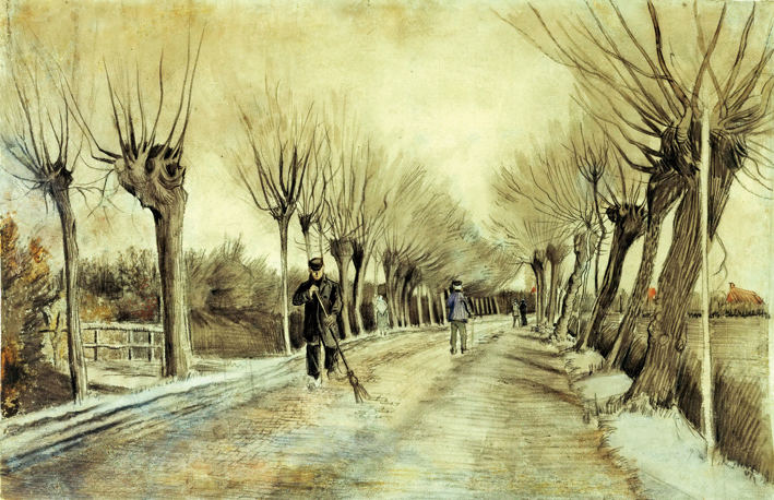  文森特·威廉·梵高  Vincent Willen Van Gogh —— 树 (5)